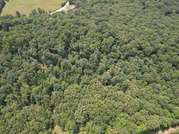 0 Webb Rd Lot 7, Summertown, TN 38483