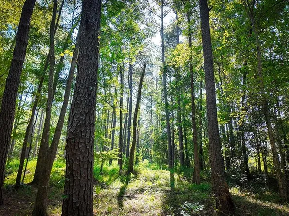 140 Elderberry Rd, Cairo, GA 39828