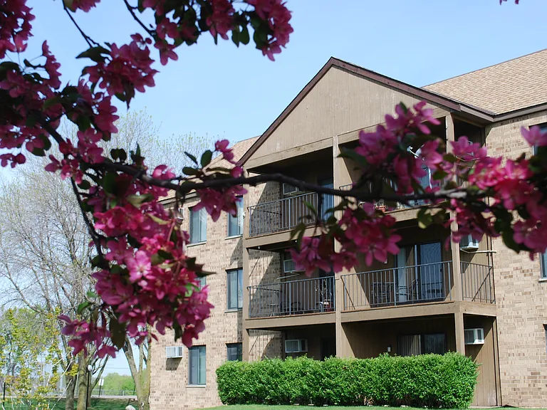 Spring in bloom!