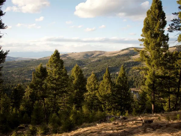 Nhn Chimney Lakes Rd Lot 86, Helmville, MT 59843