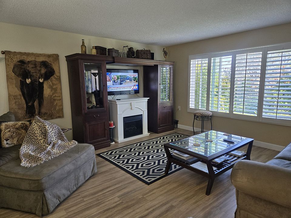 Living room with electric fire place