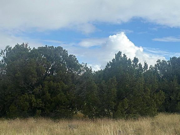 4th image of 7 County Road 5082