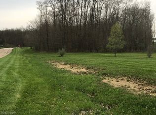Aberdeen Ct, Ravenna, OH 44266