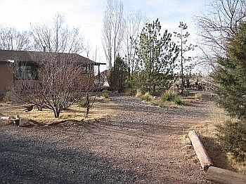 Mature landscape with variety of trees, flowering bulbs and native plants.