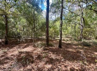 13 Northwest Ter, Bell, FL 32619