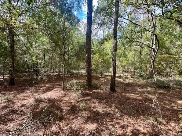 NW 13th Ter, Bell, FL 32619