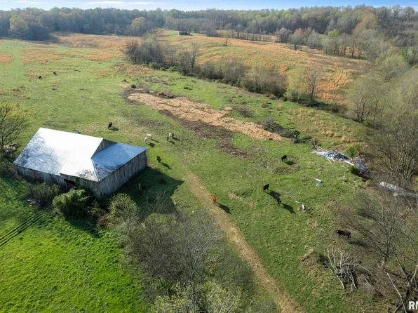 60 Harris Ln, Brookport, IL 62910