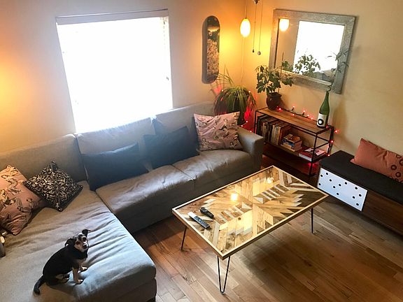 Living Room (doggo not included)