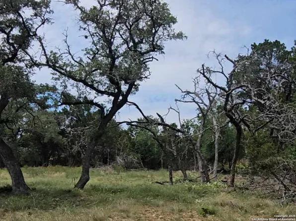 00 Whartons Dock Rd LOT 303, Lakehills, TX 78003