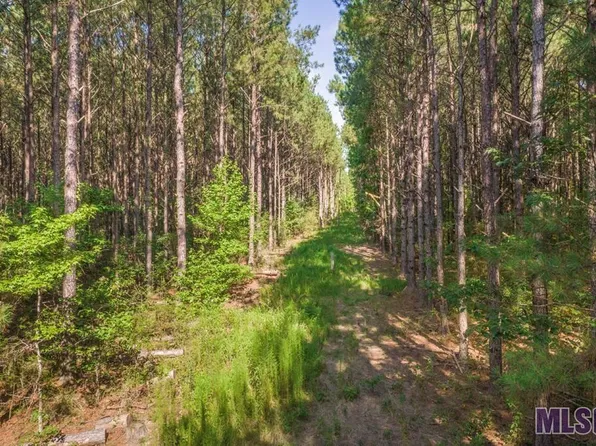 4824 Highway 448, Greensburg, LA 70441