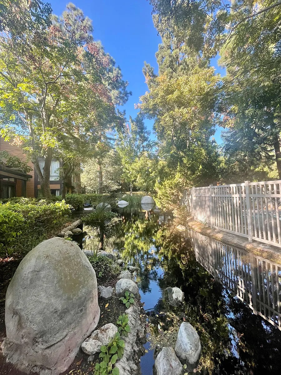 Pond. - 14061 Bayside Dr