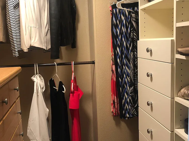Custom Primary Closet #1