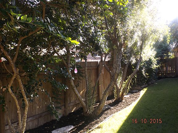 5th image of 8113 Campeche Bay Pl