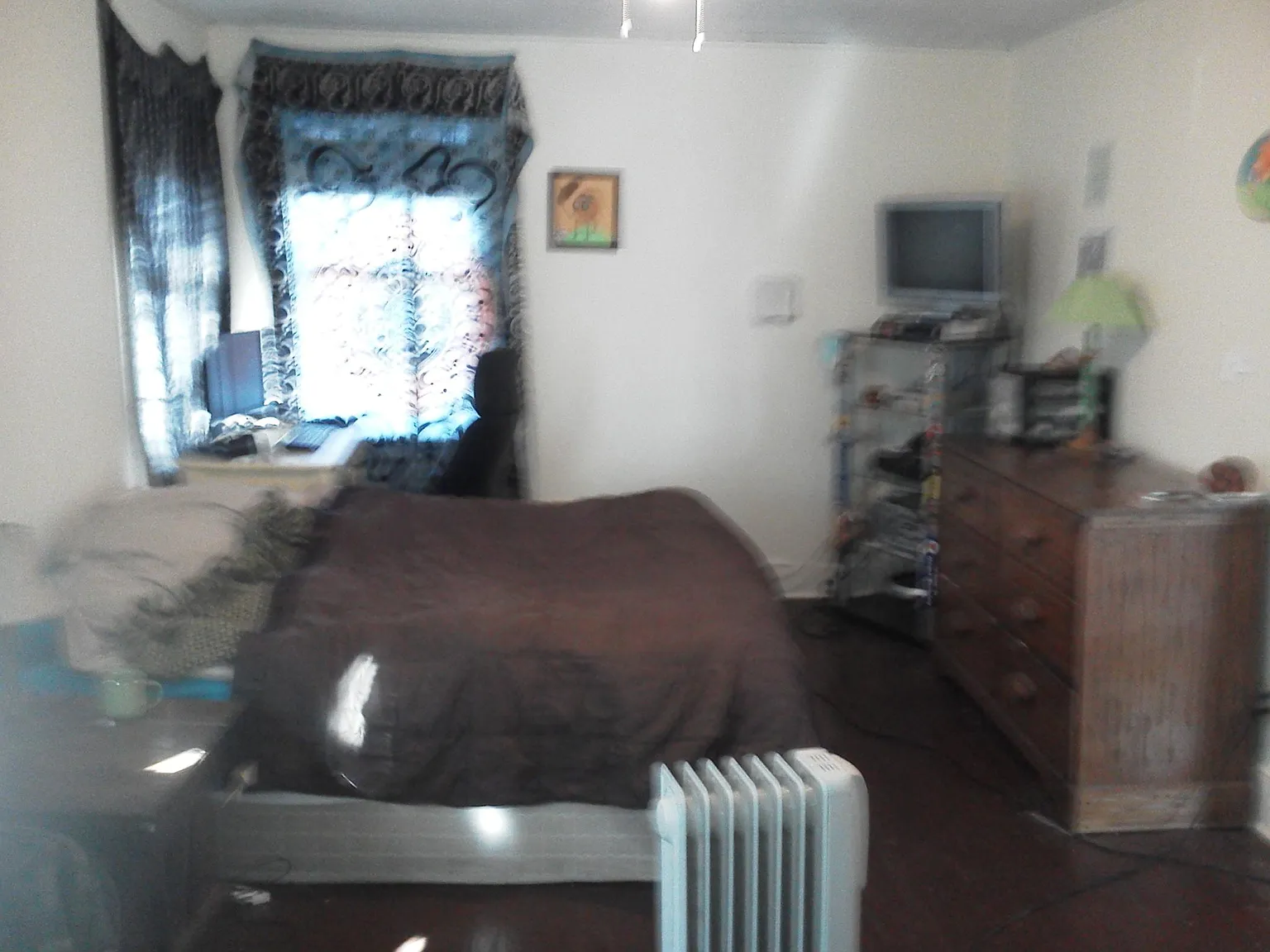 1 bed, 800 sqft, $900 — Photo 4