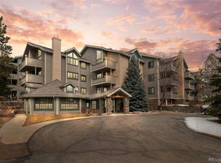 31719 Rocky Village Dr APT 317, Evergreen, CO 80439