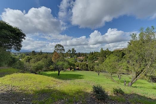 Open Field