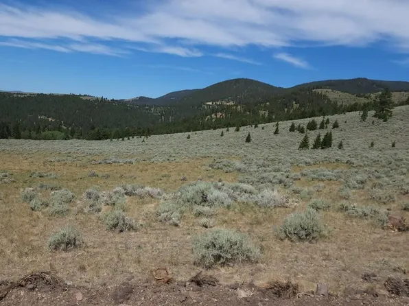 17 Tract /, Helmville, MT 59843