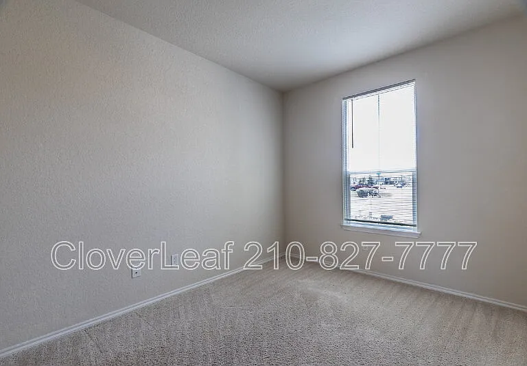 6823 Ashcat — Photo 27