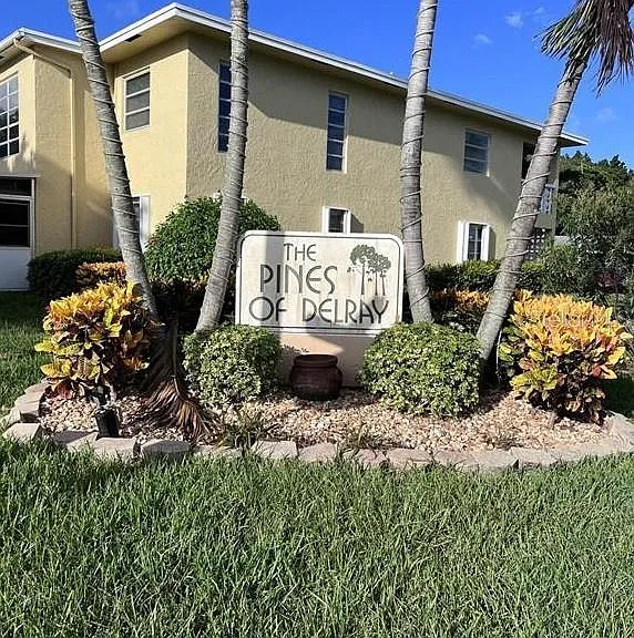 Black Olive Blvd — Photo 1