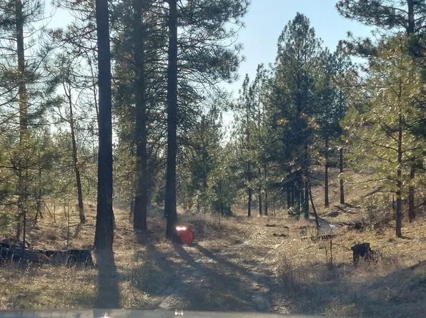 5699 Highway 231 Hwy #C, Ford, WA 99013