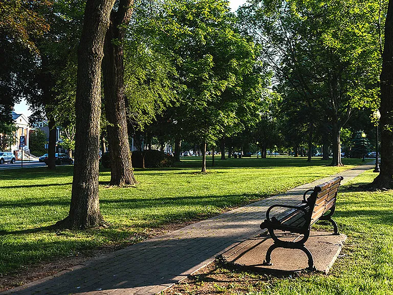 The Green at Bloomfield — Photo 20