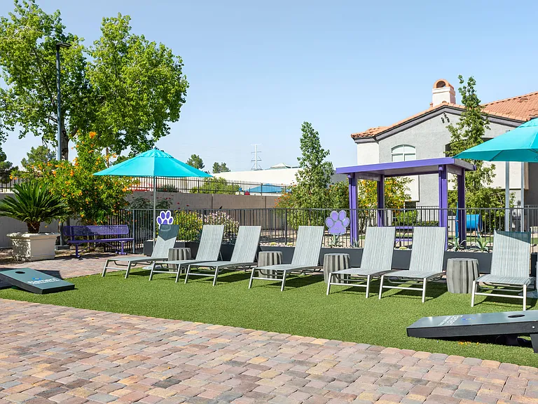 Social Lawn