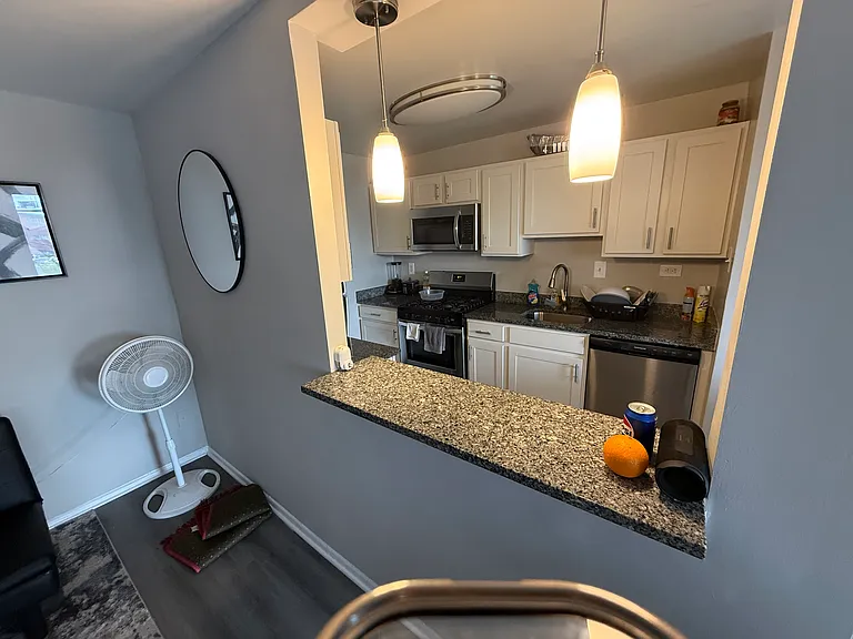 6702 Belcrest Rd — Photo 8