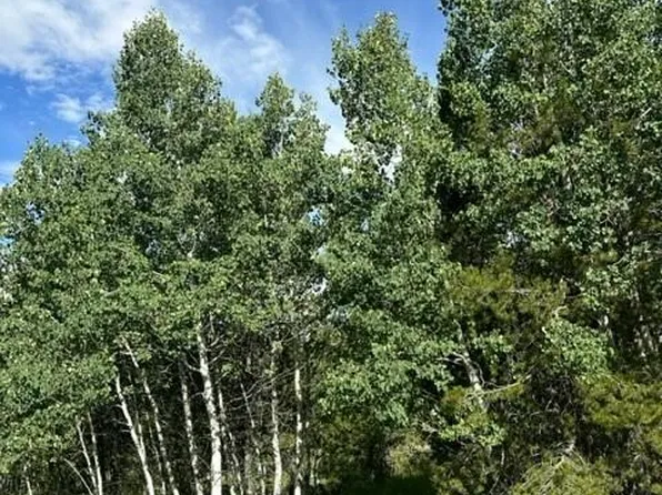 644 County Road 6234, Granby, CO 80446
