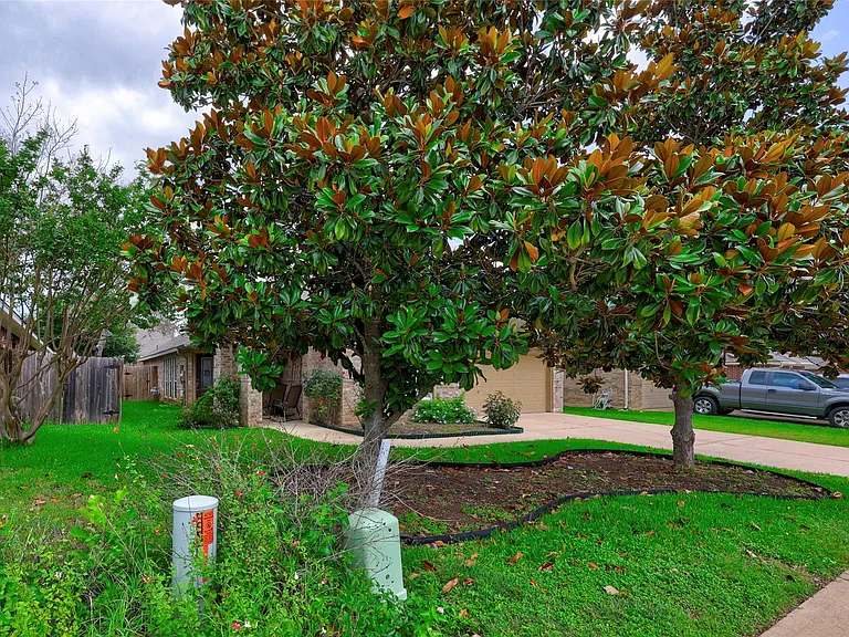 1819 Nelson Ranch Loop — Photo 14