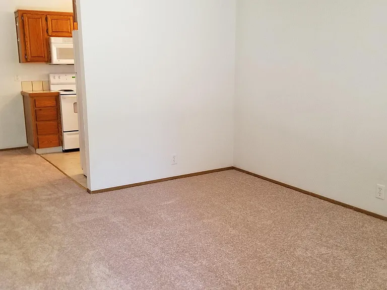 1481 Selmi Dr — Photo 3