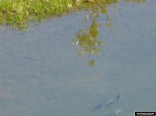 LOT 13 Peak View Ln, Buffalo, WY 82834