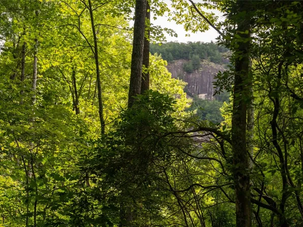 173 Lonesome Valley Road, Sapphire, NC 28774