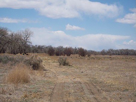 5th image of 50100 E State Highway 96