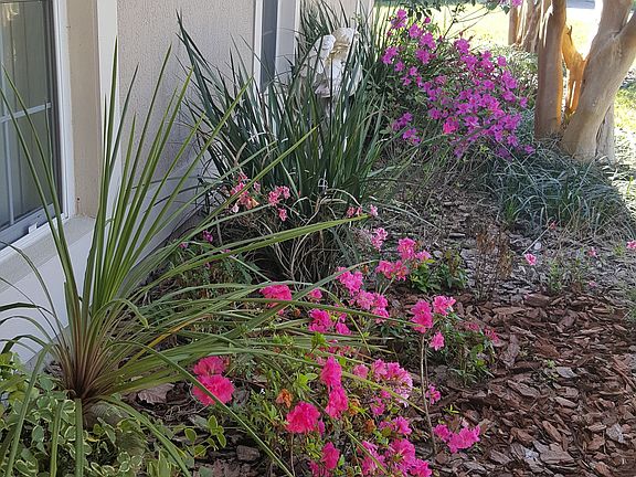 Landscaped Front Entry