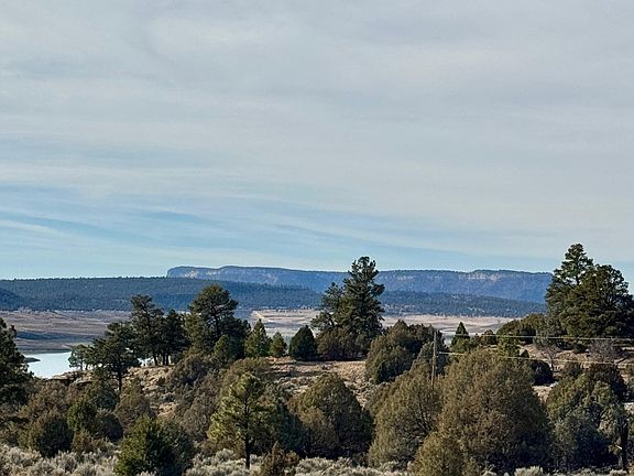 4th image of Canyon Rd