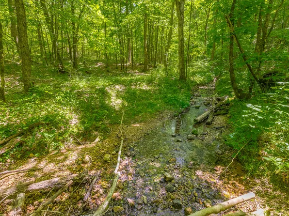 0 Thurman Ln, Decatur, TN 37322