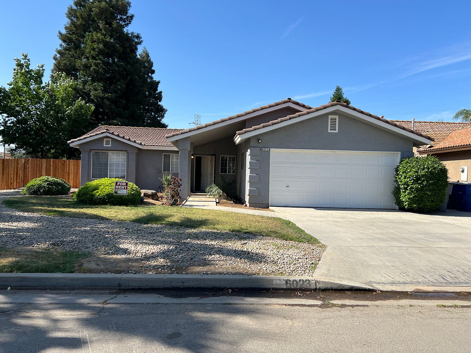 Vriesea 'Manoa Valley' 中株 Wega Mini Nova Espresso Machine – Stainless Steel – Abbotsford Road