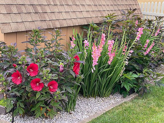 Perrinals, no maintaince.