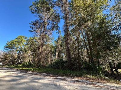 220 Amberjack St, Satsuma, FL, 32189