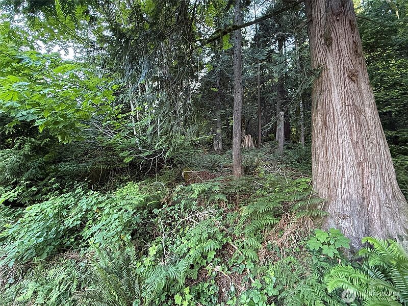 4th image of 767 West Road