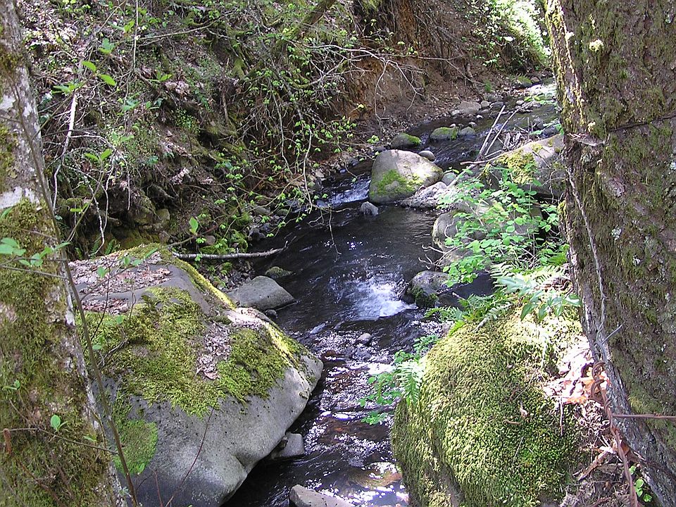 Jewett Creek