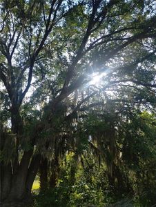 0 Cedarwood Dr, Lake Wales, FL, 33898