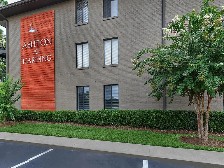 Ashton at Harding — Photo 41