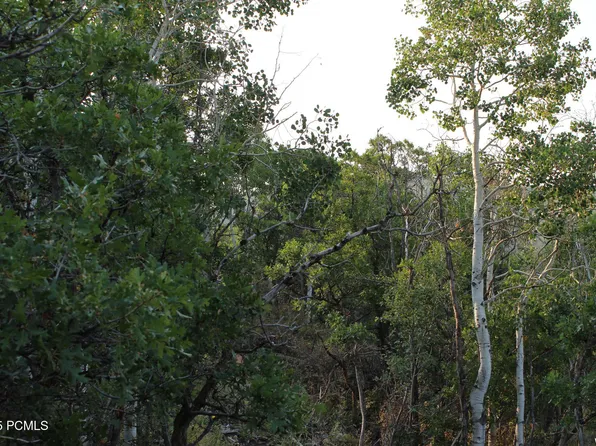 1747 S Beaver Bench Rd #1421, Heber City, UT 84032