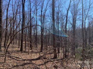 Glen Ridge Trl #252, Lake Lure, NC 28746