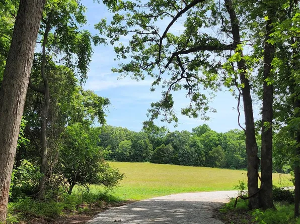 Lot 7 N Farm Road 61, Walnut Grove, MO 65770