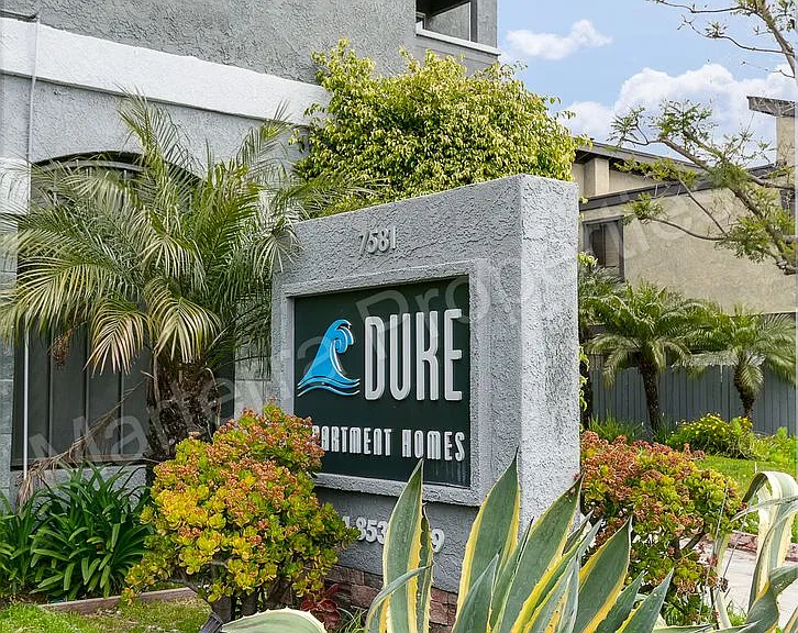 Duke — Photo 16
