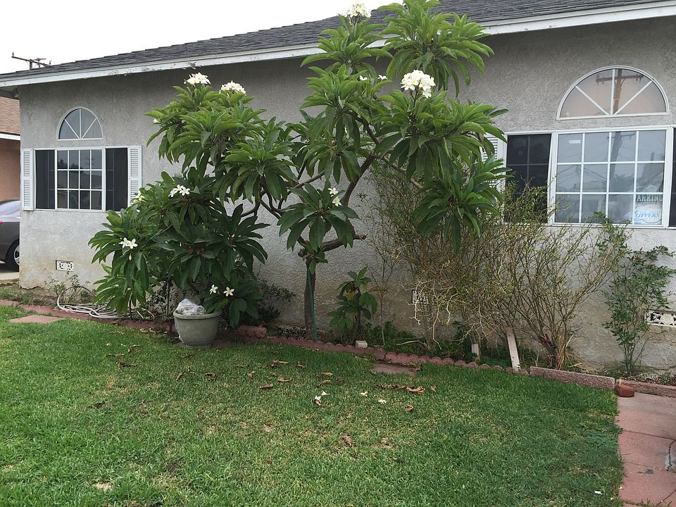 2nd image of 7536 Lindell Ave
