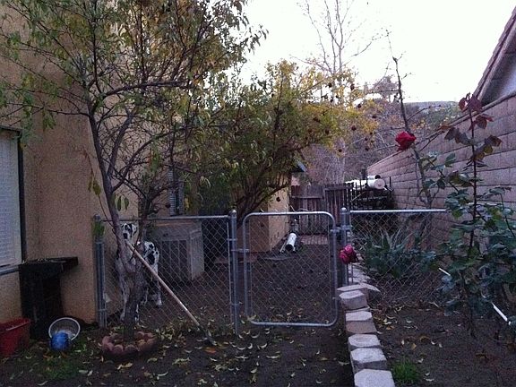 5th image of 1439 Wigeon Dr