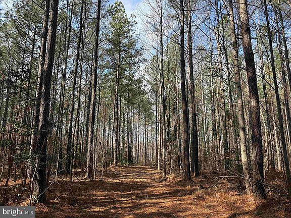 4th image of Cedar Field Rd #Et2-2003